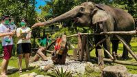 GL Zoo Yogyakarta
