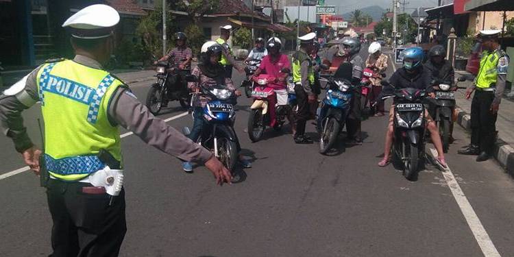 Operasi Zebra Progo