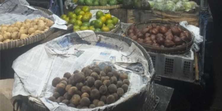 pedagang buah jogja