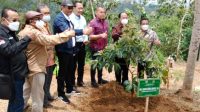 agro forestry menoreh kulon progo