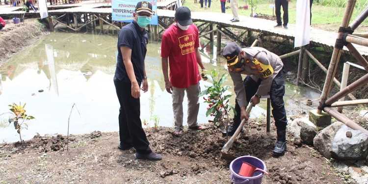 sawah surjan hpn