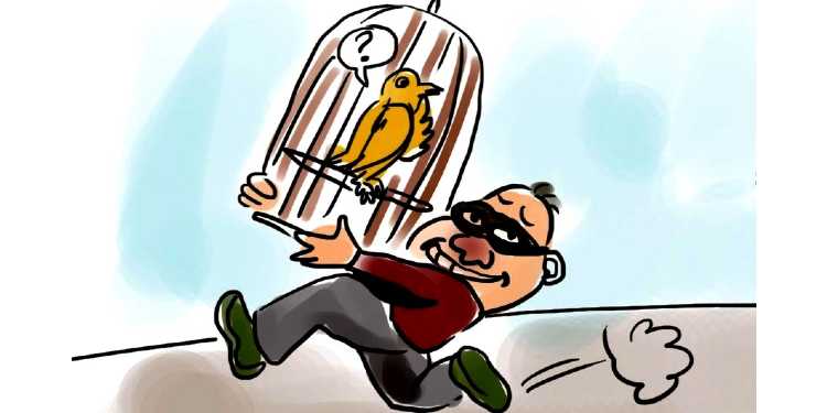 ilustrasi pencurian burung