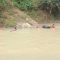 pencarian korban sungai lokulo Kebumen