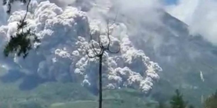 erupsi merapi 11 maret 2023
