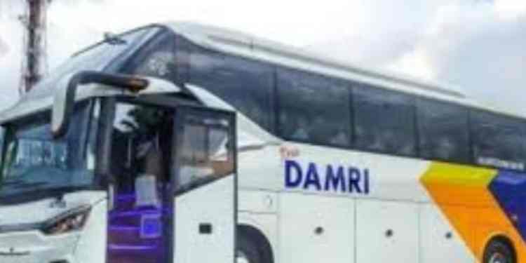 Bus Damri