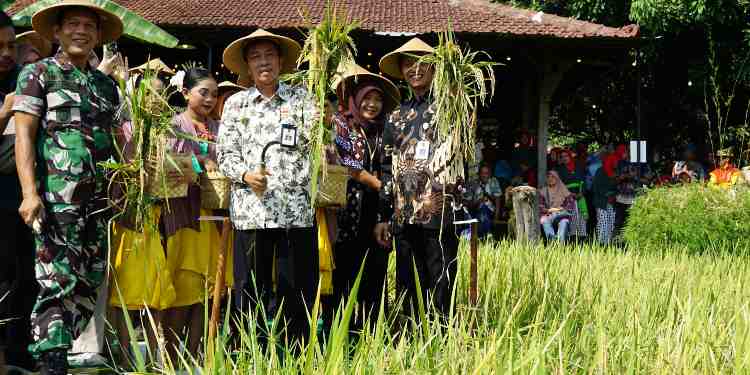 wiwitan jogja