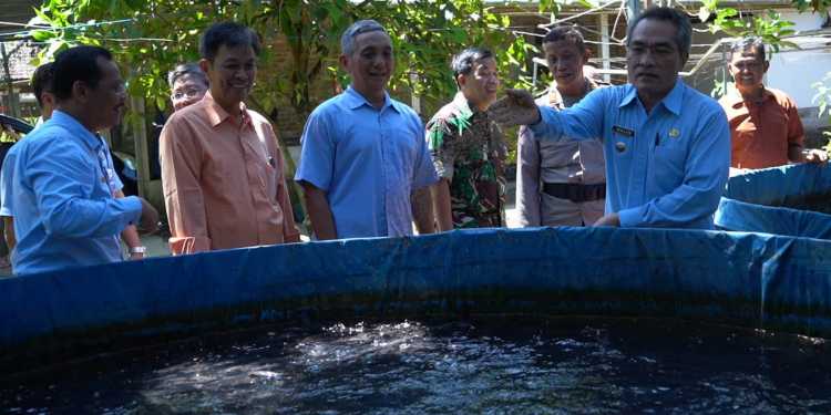 pengentasan kemiskinan