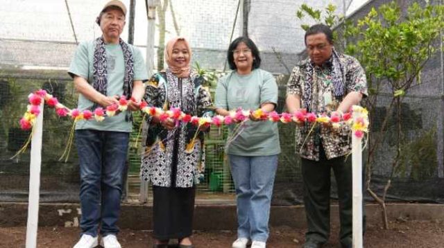 potong pita Green House Anggrek Merapi