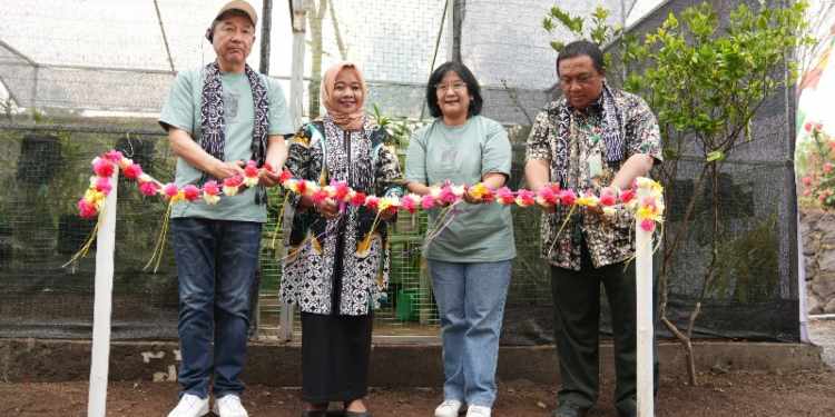 potong pita Green House Anggrek Merapi