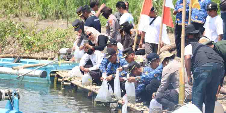 tebar benih ikan progo