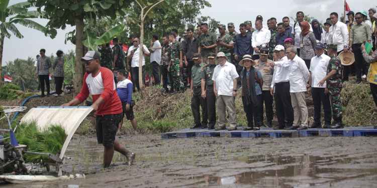 pertanian bantul