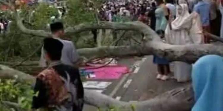 Pohon tumbang idulfitri