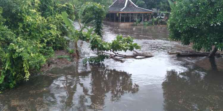 gajahwong meluap
