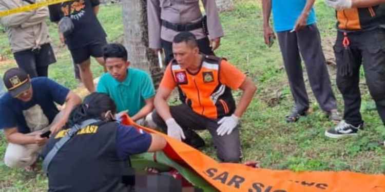 jatuh dari pohon