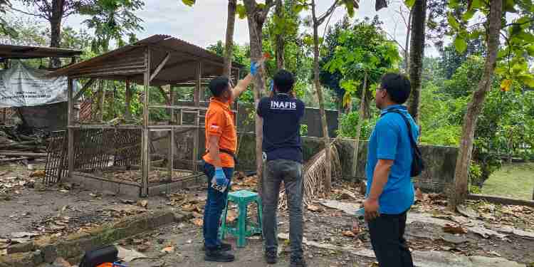Bunuh diri bantul