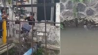 tebar lele selokan mataram jogja