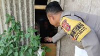 Kakek bantul