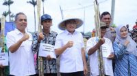 gula tebu bantul gula tebu bantul