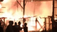 kandang ayam terbakar