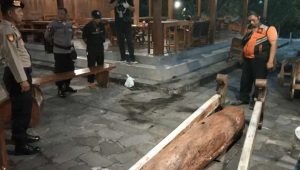 tragedi kentongan kulon progo