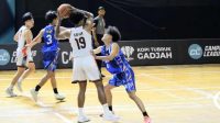 Liga basket