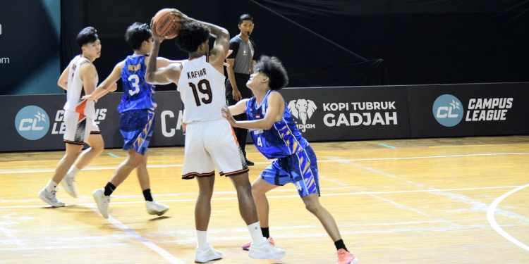 Liga basket