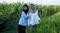 kembar UGM