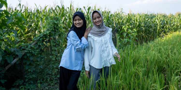 kembar UGM