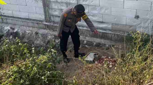 makam kucing bantul